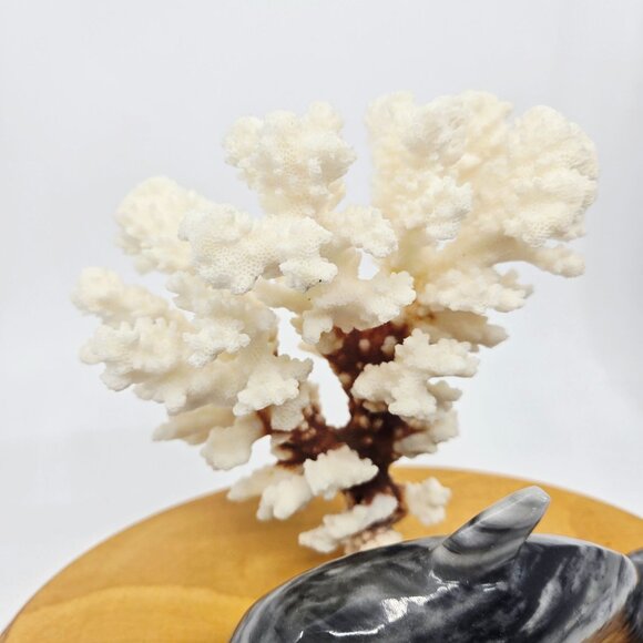 Black & White Marble Dolphin Figurine With Natural Coral Display On Wooden Base - Picture 6 of 11